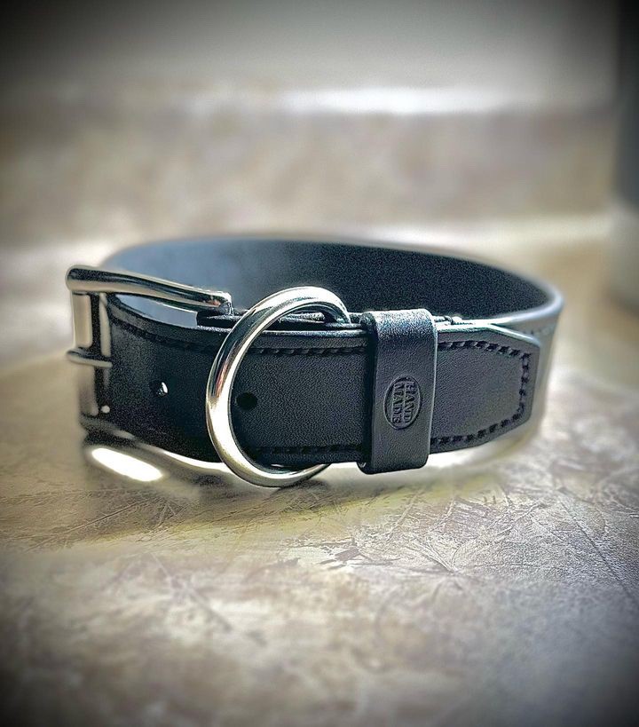 Bernie-collar-black-stainless 2